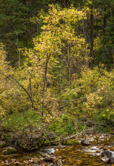 Grizzly Creek No. 5, Glenwood Canyon, 2016