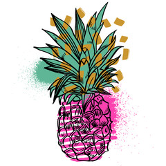 Pineapple tropical fruit. Vector object.