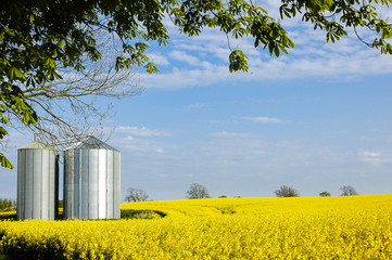 Biogasanlage in einem Rapsfeld