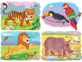 Small set of cute wild animals.  Tiger, lion, rhinoceros, pelican, parrot and toucan