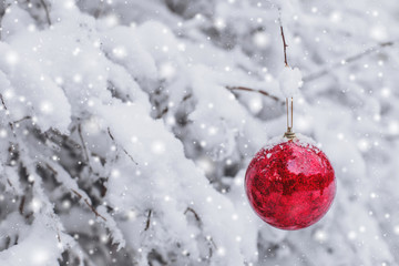 Red Christmas ball hanging on a snowy branch in the winter forest. Merry Christmas and Happy New...