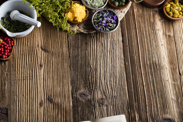 Assorted natural medical herbs and mortar