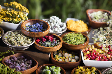 Assorted natural medical herbs and mortar