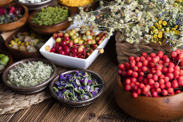 Assorted natural medical herbs and mortar