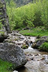 Small river flow in Cerna Mountains, Romania