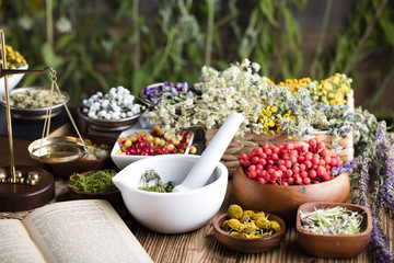 Assorted natural medical herbs and mortar