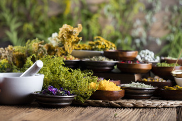 Assorted natural medical herbs and mortar