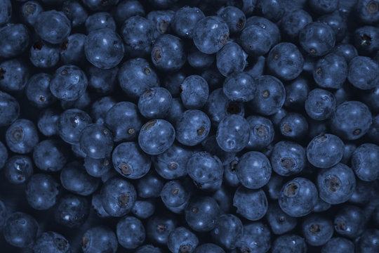 Blueberry - Pile Of Fresh Blueberries close up