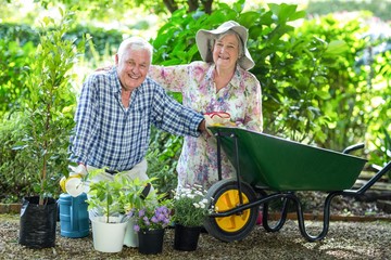 Portrait of senior couple kneeling by wheelbarrow