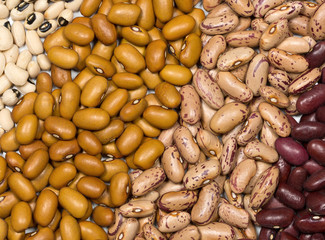 Mixed beans for background