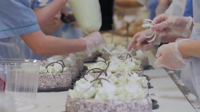 Confectioners hands decorating cakes on conveyor. Cake production process. 4K.