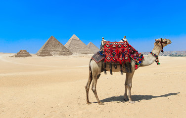 pyramids with a beautiful sky of Giza in Cairo, Egypt.