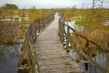 Old Wood Bridge