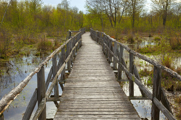 Old Wood Bridge