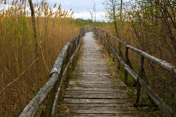 Naklejka premium Old Wood Bridge