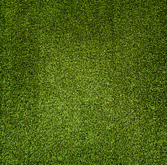 artificial grass - 128223266