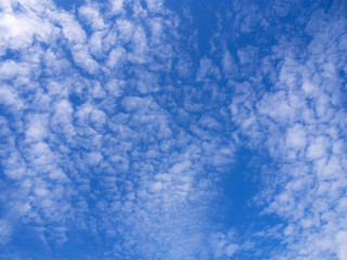 Blue sky and clouds for a background.
