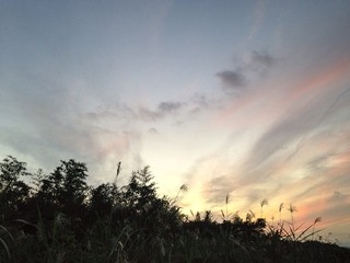 sunset sky and grassland