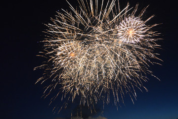 Obraz premium Fireworks in the sky