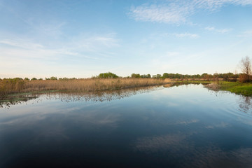 Rural river landscape with rings in water. Summer time.