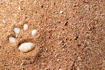 dog footprint made with white rocks on sand