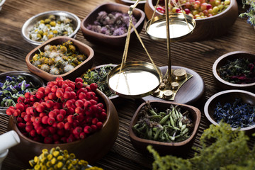 Assorted natural medical herbs and mortar