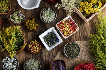Assorted natural medical herbs and mortar