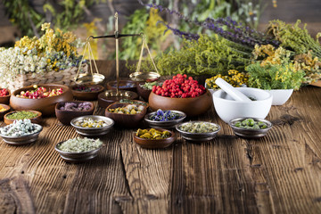 Assorted natural medical herbs and mortar