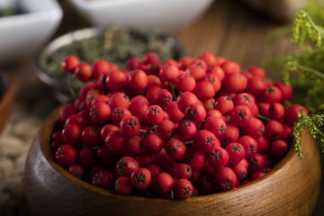 Assorted natural medical herbs and mortar