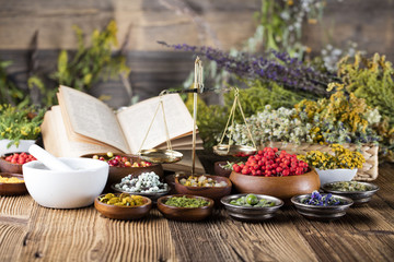 Assorted natural medical herbs and mortar