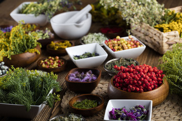 Assorted natural medical herbs and mortar