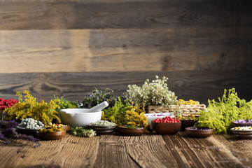 Assorted natural medical herbs and mortar