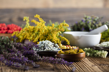 Assorted natural medical herbs and mortar