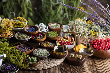 Assorted natural medical herbs and mortar