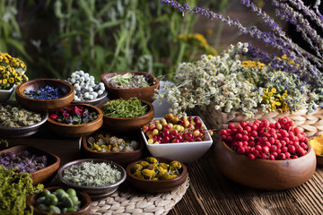 Assorted natural medical herbs and mortar