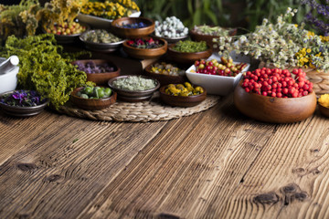 Assorted natural medical herbs and mortar