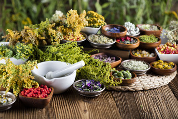 Assorted natural medical herbs and mortar