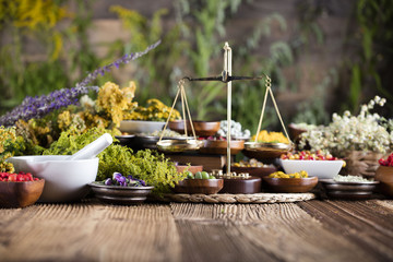 Assorted natural medical herbs and mortar