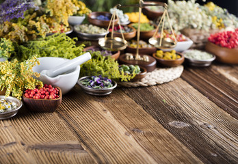 Assorted natural medical herbs and mortar