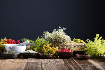 Assorted natural medical herbs and mortar