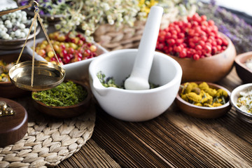 Assorted natural medical herbs and mortar