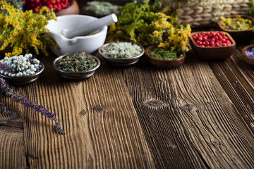 Assorted natural medical herbs and mortar
