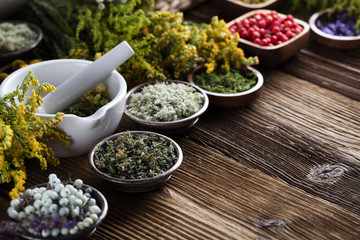 Assorted natural medical herbs and mortar