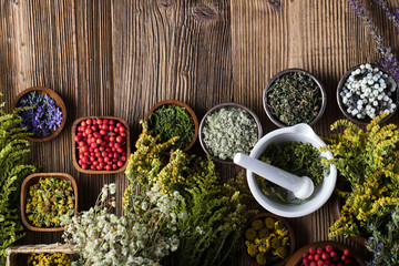 Assorted natural medical herbs and mortar