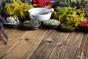 Herbs, berries and flowers with mortar, on wooden table background