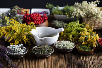 Herbs, berries and flowers with mortar, on wooden table background