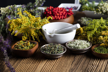 Herbs, berries and flowers with mortar, on wooden table background