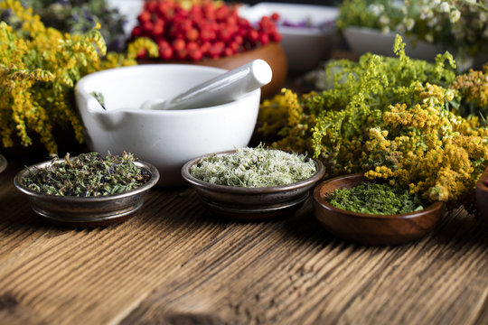 Assorted natural medical herbs and mortar
