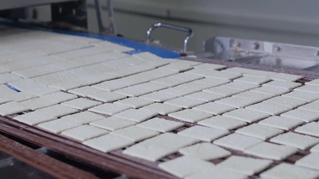 Cookies, biscuits on conveyor. Mechanized production of bakery products. 4K