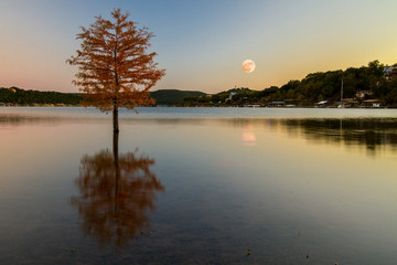 Supermoon in November 2016 reflection off Sandy Creek Arm of Lake Travis viewed from Jones...